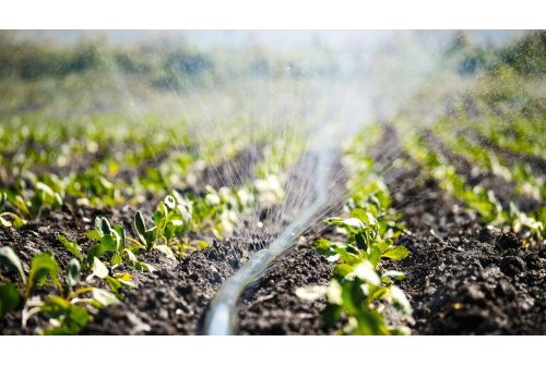 micro irrigation & drip irrigation