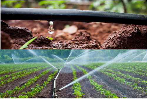 drip irrigation vs flood irrigation