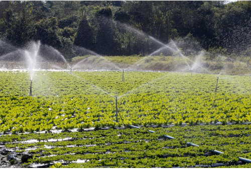spray irrigation