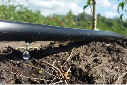 Drip Irrigation For Efficient Agriculture